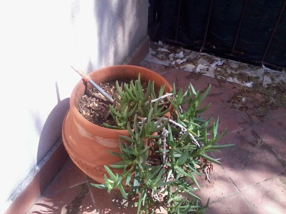 Sperone Mandra Capreria Exterior foto