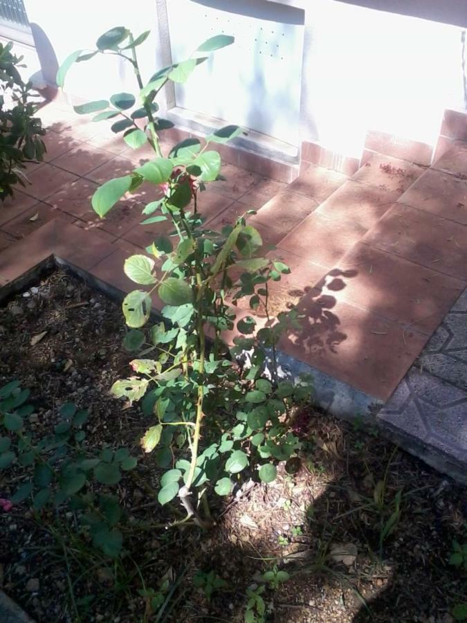 Sperone Mandra Capreria Exterior foto